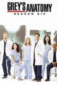 Grey’s Anatomy: Stagione 6