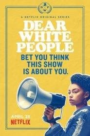 Dear White People: Stagione 1