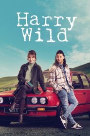 Harry Wild – La signora del delitto: Stagione 3