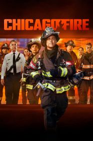 Chicago Fire: Stagione 14