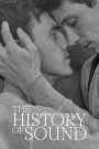 The History Of Sound – Sulle note di un amore